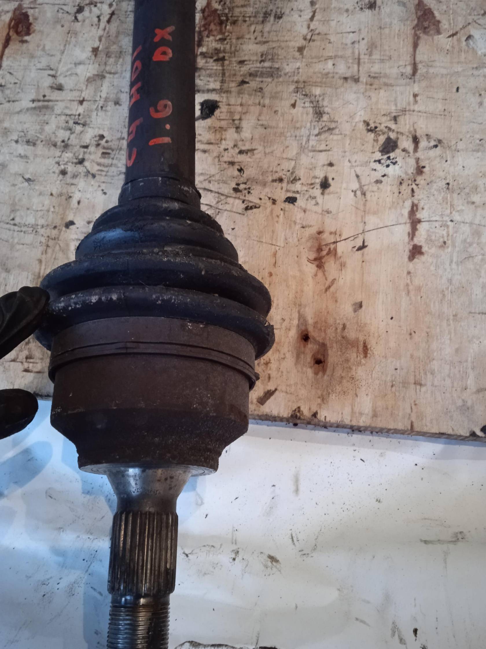 Semialbero ant. compl. dx.